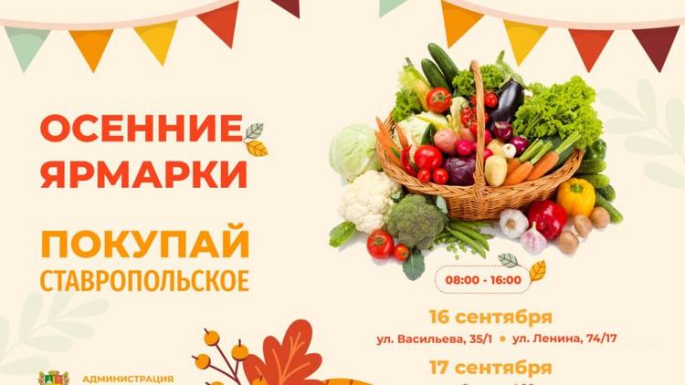 Жители Ставрополя на ярмарках купили почти 290 тонн продуктов