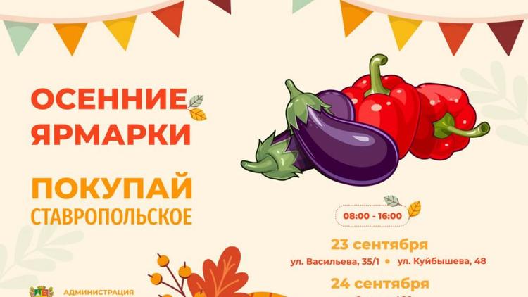 Три ярмарки пройдут в Ставрополе на выходных