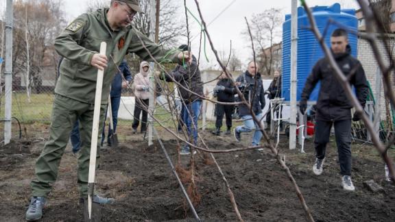 Губернатор Владимиров высадил ставропольские яблони в антрацитовских садах