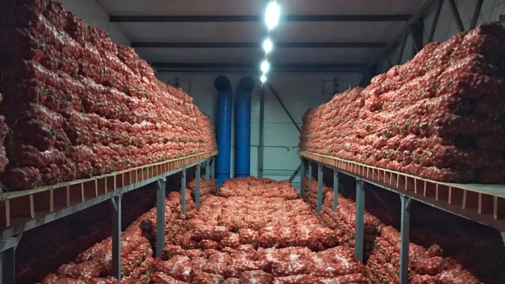 На Ставрополье запустят круглогодичный цех по переработке овощей