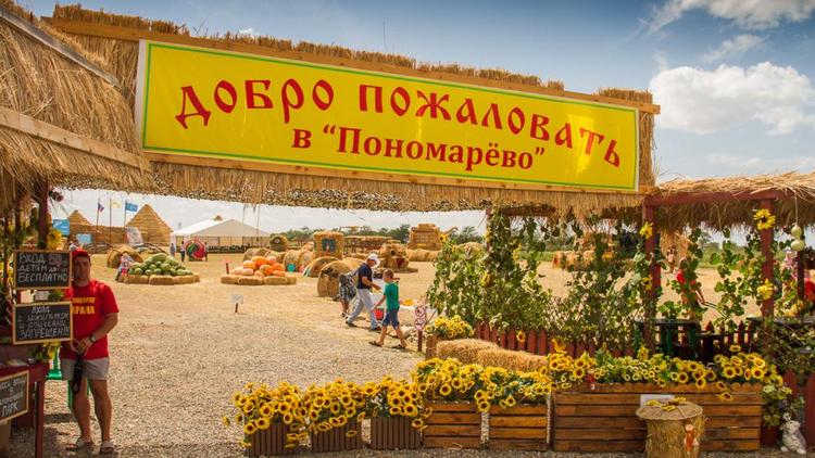 На Ставрополье проект «Агротуризм» реализуют 50 организаций