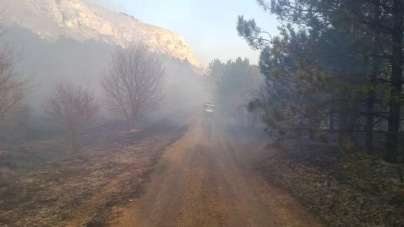Вблизи Кисловодска тушат пожар в лесу