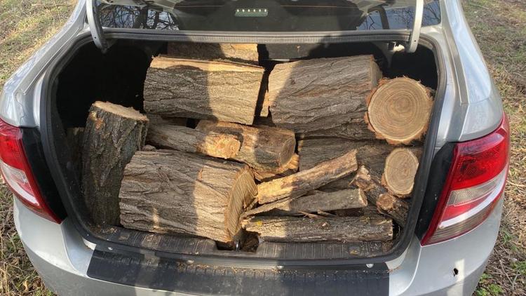 В Изобильненском округе мужчина незаконно вырубил лес на 116 тысяч рублей