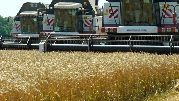 На Ставрополье аграрии собрали более 5 млн тонн зерна
