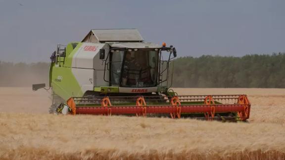 На Ставрополье зернопроизводители получат свыше 460 миллионов рублей господдержки