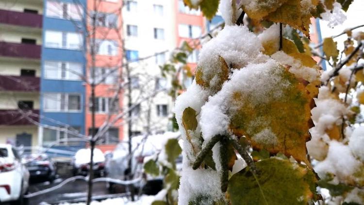 На следующий неделе на Ставрополье ожидаются заморозки