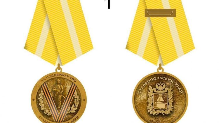 На Ставрополье разработали эскизы медали «За поддержку СВО»