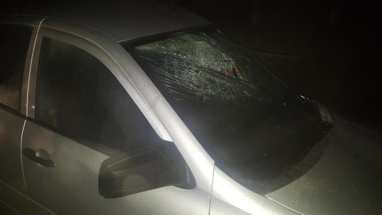 В Благодарненском округе автомобиль въехал в дерево: погиб пассажир