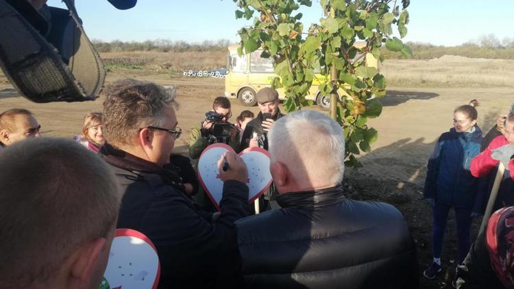 Губернатор Владимир Владимиров посадил именные деревья в Ставрополе