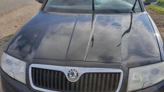 Влетевший в стекло автомобиля осколок поранил малыша на трассе на Ставрополье