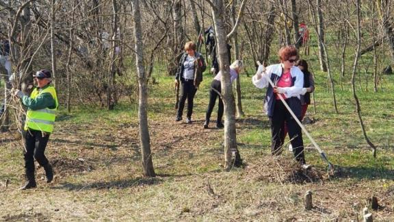 В Железноводске экоактивисты убрали почти 300 мешков с мусором