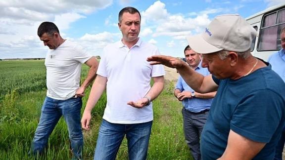 В Будённовском округе Ставрополья прошёл объезд хлебных полей
