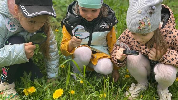 Летняя программа экопросвещения стартует в детских садах Кисловодска