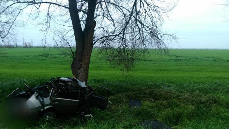 В Ипатовском округе машина врезалась в дерево: 2 человека погибли