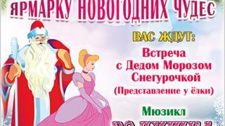 Дворец культуры и спорта Ставрополя приглашает на Ярмарку новогодних чудес