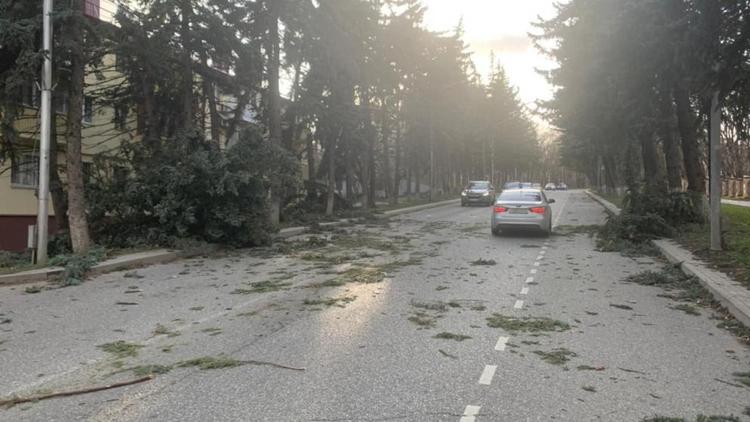 Сильные порывы ветра в Железноводске повалили более 10 деревьев