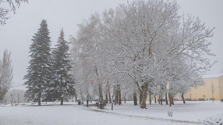 Более четырёх тысяч домов на Ставрополье остались без света из-за ветра