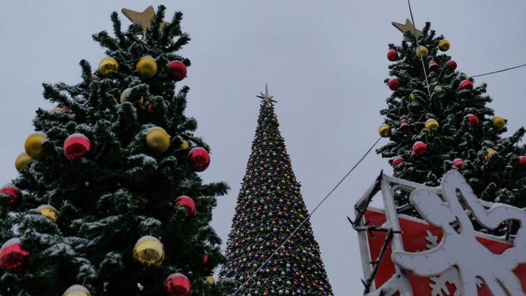 Лес из 33 новогодних елей «вырастет» на площади Ленина в Ставрополе