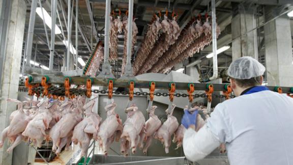 В Ставропольском крае растут объемы производства мяса
