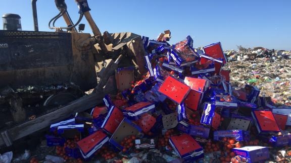 В Пятигорске уничтожили 10 290 кг санкционных овощей и фруктов