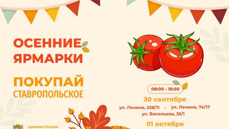 Четыре ярмарки будут работать в Ставрополе на выходных