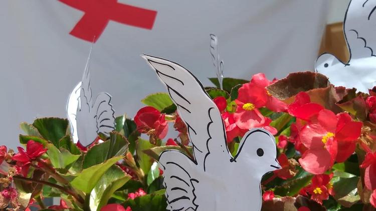 Бывший военный госпиталь в Кисловодске украсили фигурками голубей мира