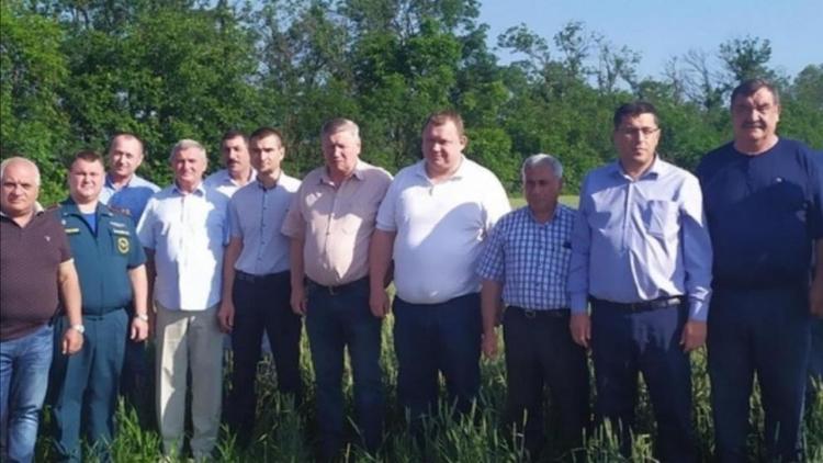 В Предгорном округе Ставрополья готовятся к уборке зерновых