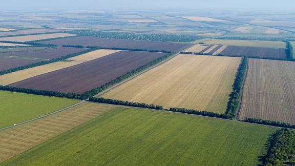 На Ставрополье организуют новую систему учёта неразграниченных сельхозземель