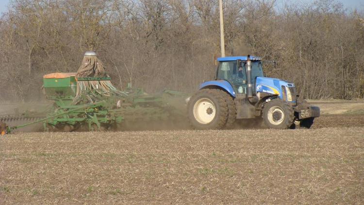 Сельхозтоваропроизводители Ставрополья получили субсидии по агрострахованию озимых культур
