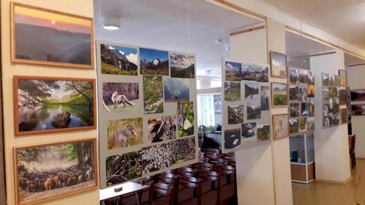 В сельском музее представлены многообразие и красота Северного Кавказа