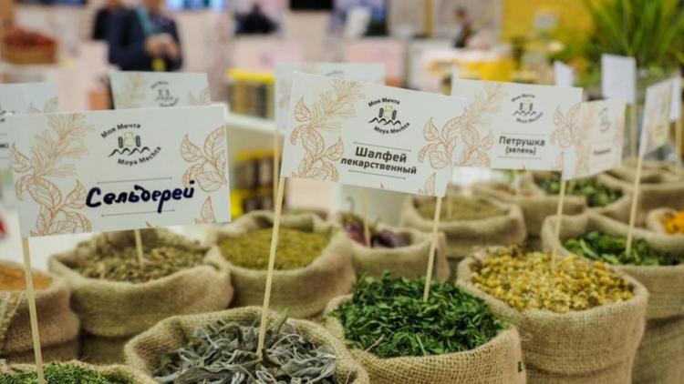 Ставропольские селекционеры вывели 15 новых сортов лекарственных и пряных культур