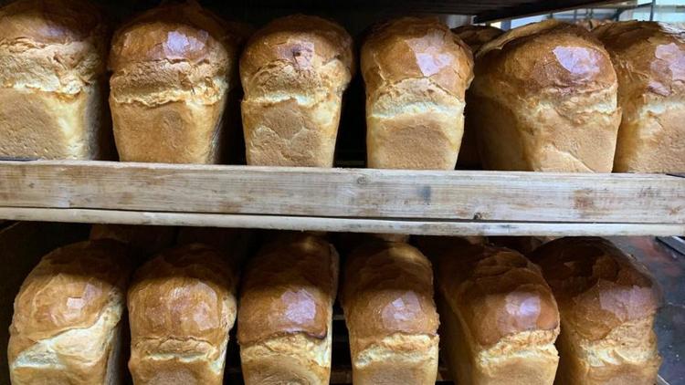 Свыше 10 тысяч буханок хлеба в день производят в Предгорном округе Ставрополья