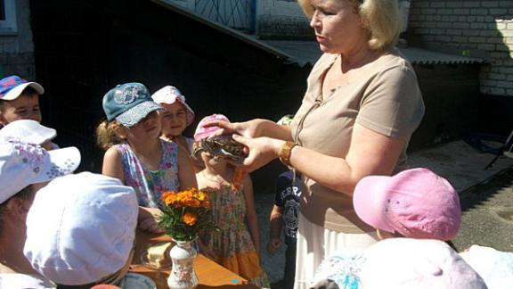 День рождения черепашки Плюшки стал поводом для воспитательной экологической акции в Невинномысске
