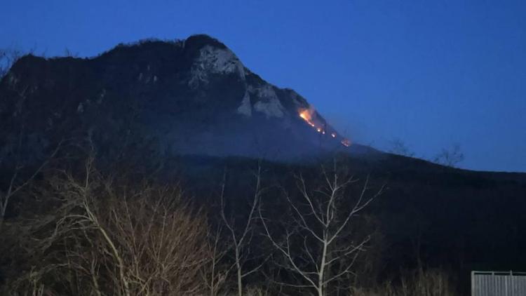Пожарные ликвидировали открытое горение травы на горе Машук в Пятигорске