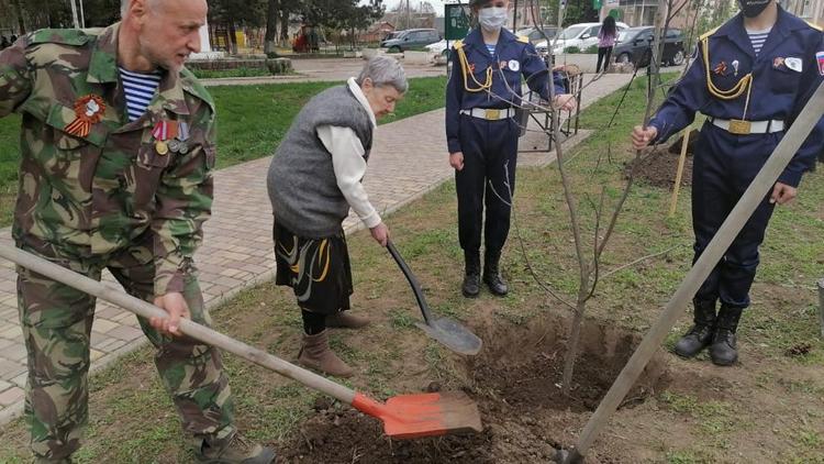 На Ставрополье ветераны высадили деревья в «Саду памяти»