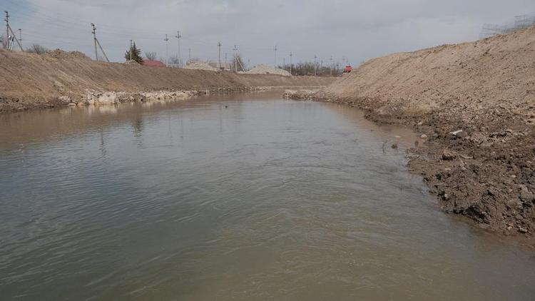 По факту обнаружения останков животных на берегу реки Юца на Ставрополье возбуждено уголовное дело