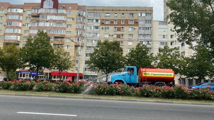 В Ставрополе цветники спасают от жары