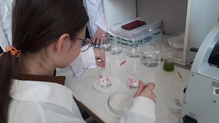 Невинномысские школьники учатся делать лабораторный анализ воздуха и воды