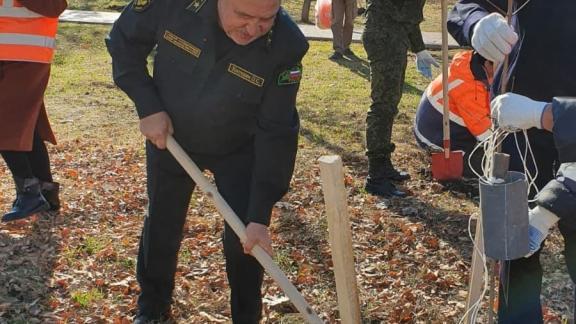 На Ставрополье подходит к завершению третий год исполнения проекта «Сохранение лесов»