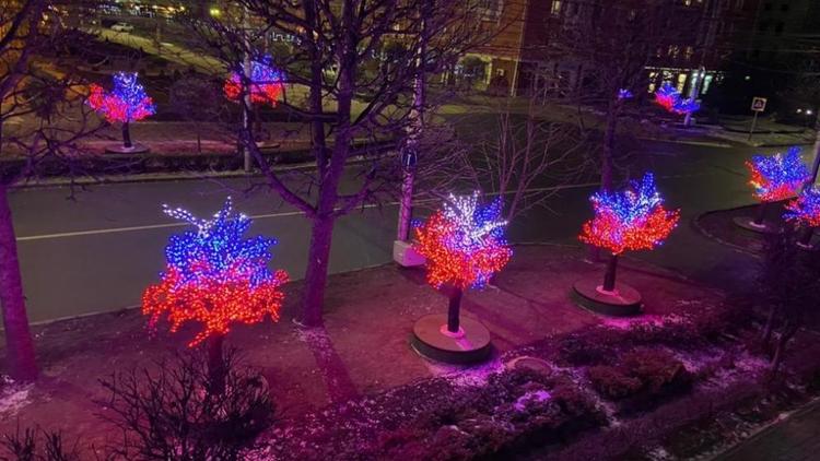 Светодиодные деревья в Ставрополе переливаются цветами флага России