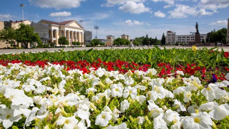 Более полумиллиона цветов и ковровых культур летом украсят клумбы Ставрополя