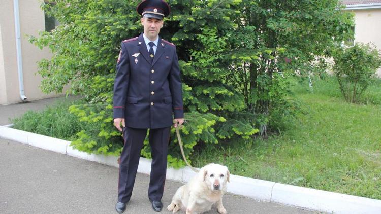 На Ставрополье работают 13 собак-детекторов