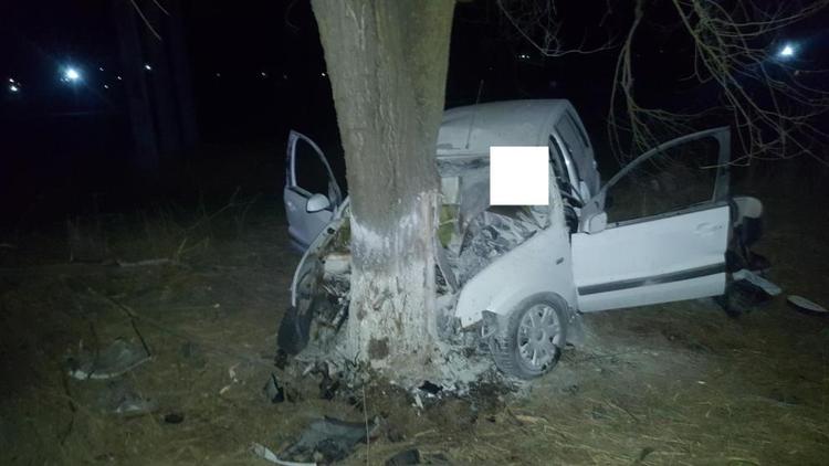 В Благодарненском округе автомобиль врезался в дерево: погибла женщина