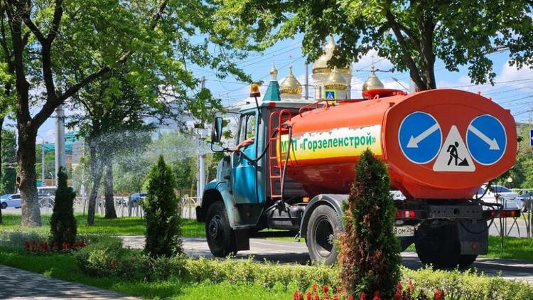 Интенсивность полива клумб в Ставрополе увеличили из-за жары