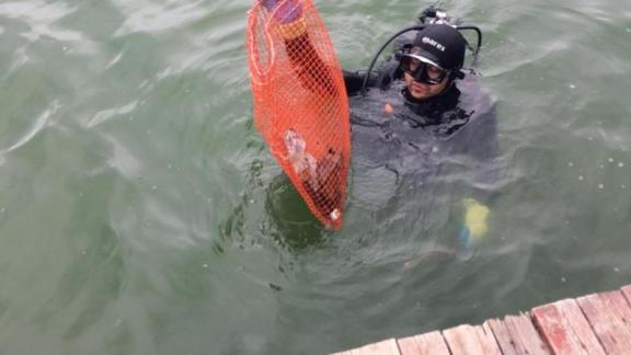 В Железноводске водолазы нашли на дне Курортного озера танцующего дельфина