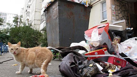 Ставропольцев призывают не парковать автомобили возле мусорных контейнеров