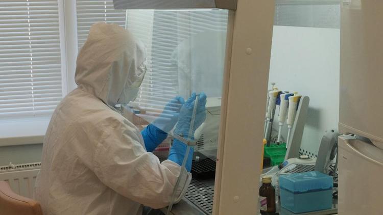 На Ставрополье около 385 тысяч жителей сделали прививку от коронавируса