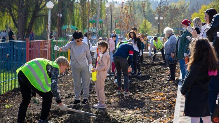 Более 200 деревьев высадили на территории нового детсада в Ставрополе