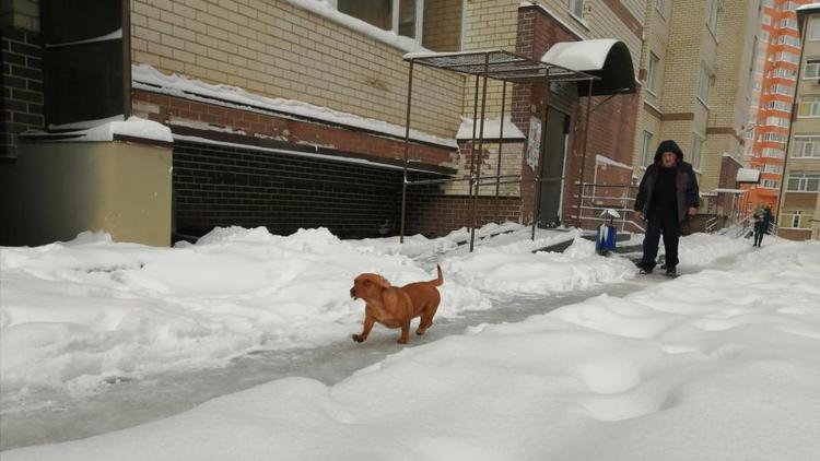 Ставропольцам разьяснили, кто должен убирать от снега территории МКД