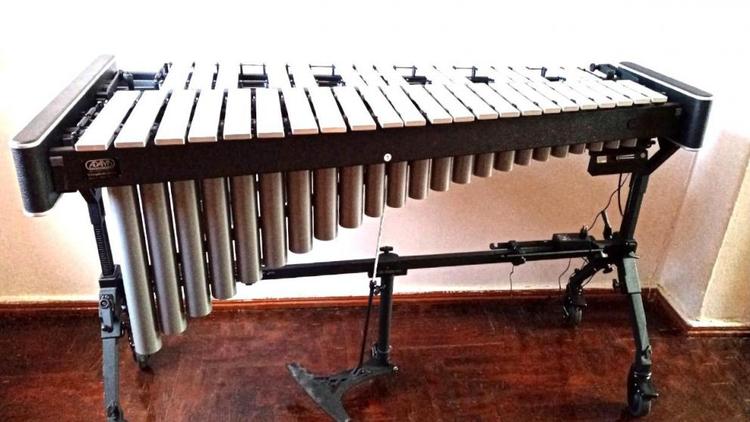 В Ставрополе детские школы искусств закупили 16 музыкальных инструментов